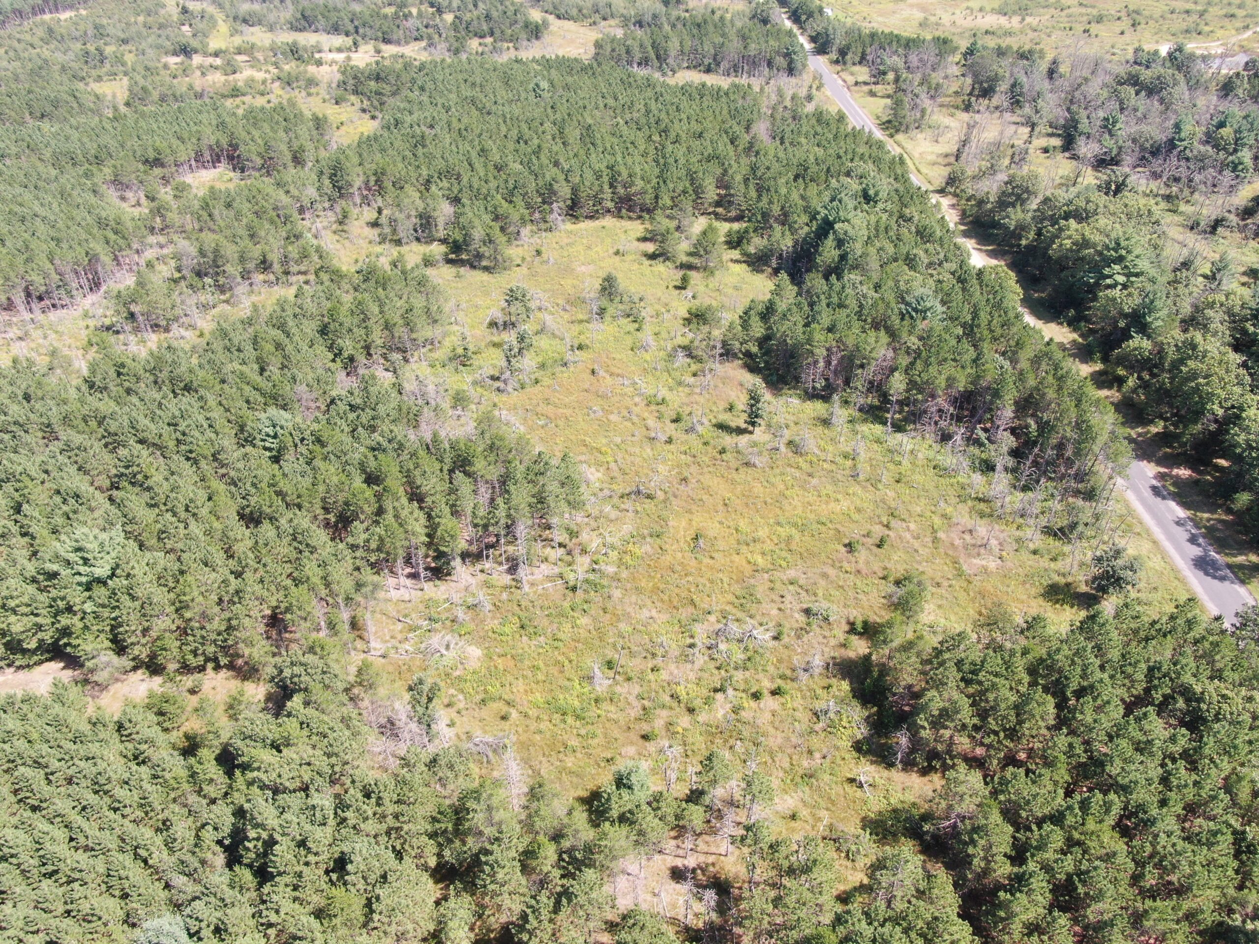 40 acres of recreational land in the Town of Monroe, Adams County