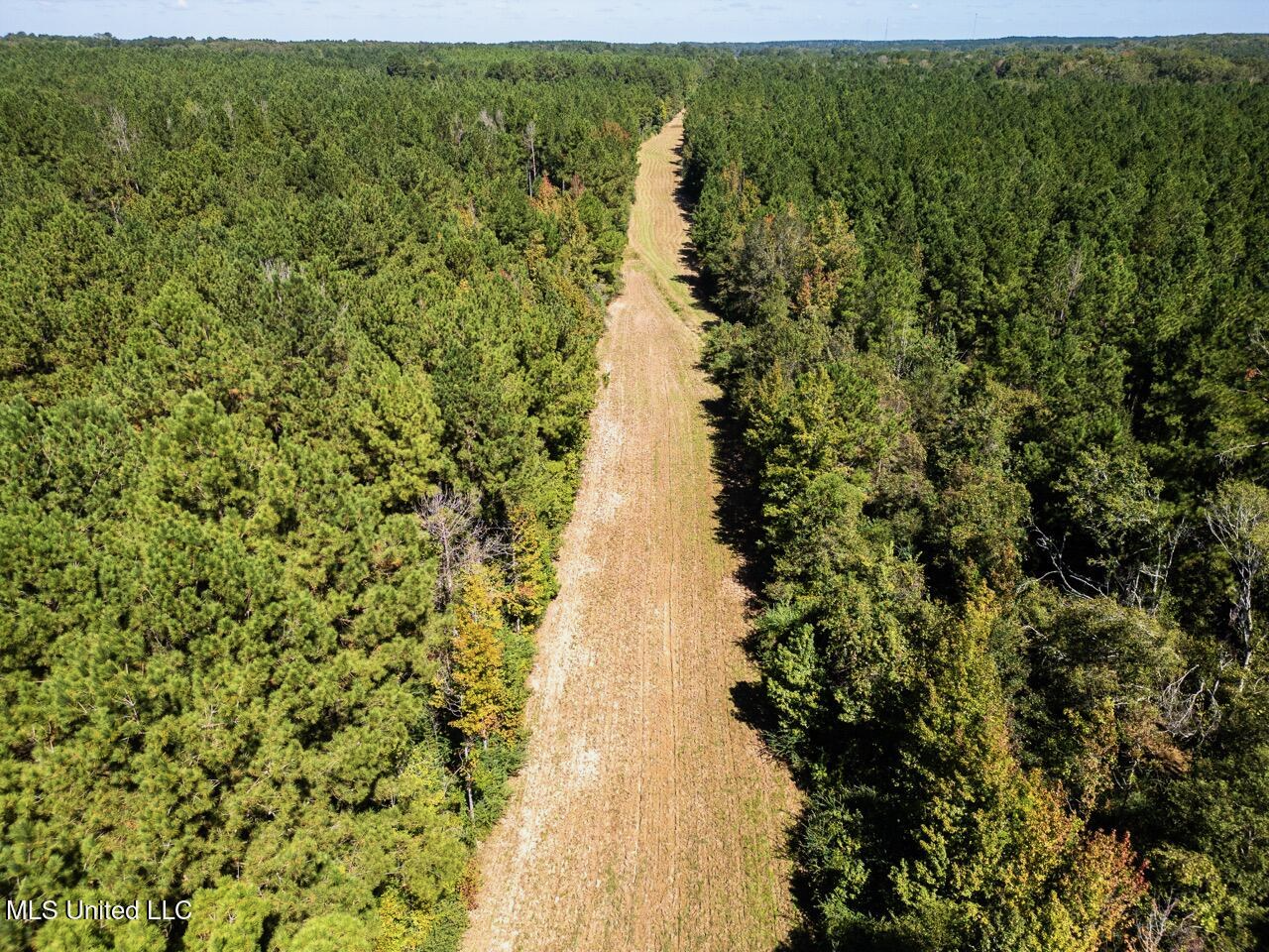 203 Acres in Smithdale MS – Turnkey Hunting Retreat