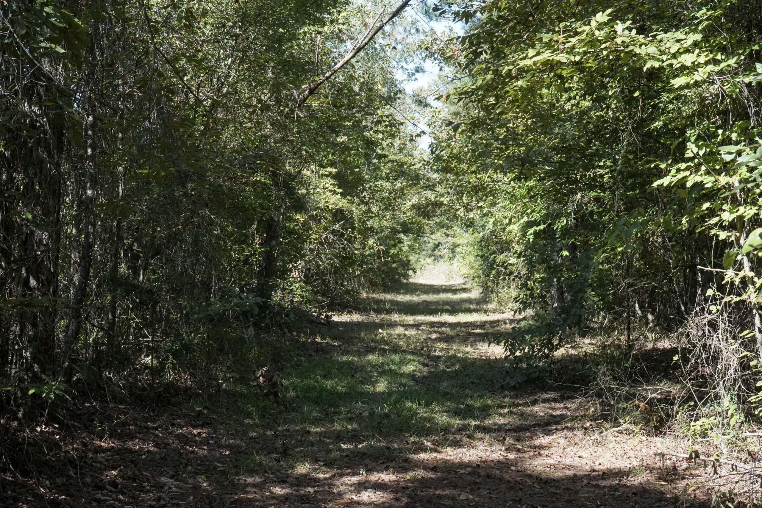 Affordable Lincoln Parish Land for Sale – Tract 4