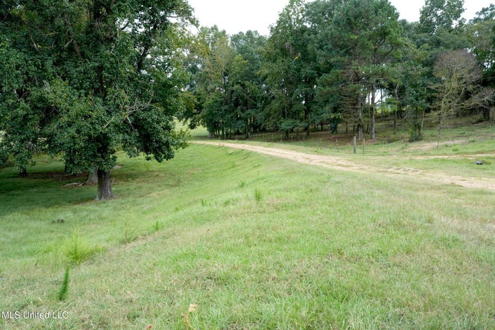 43 Acres of Beautiful Pasture with a Dream Farmhouse