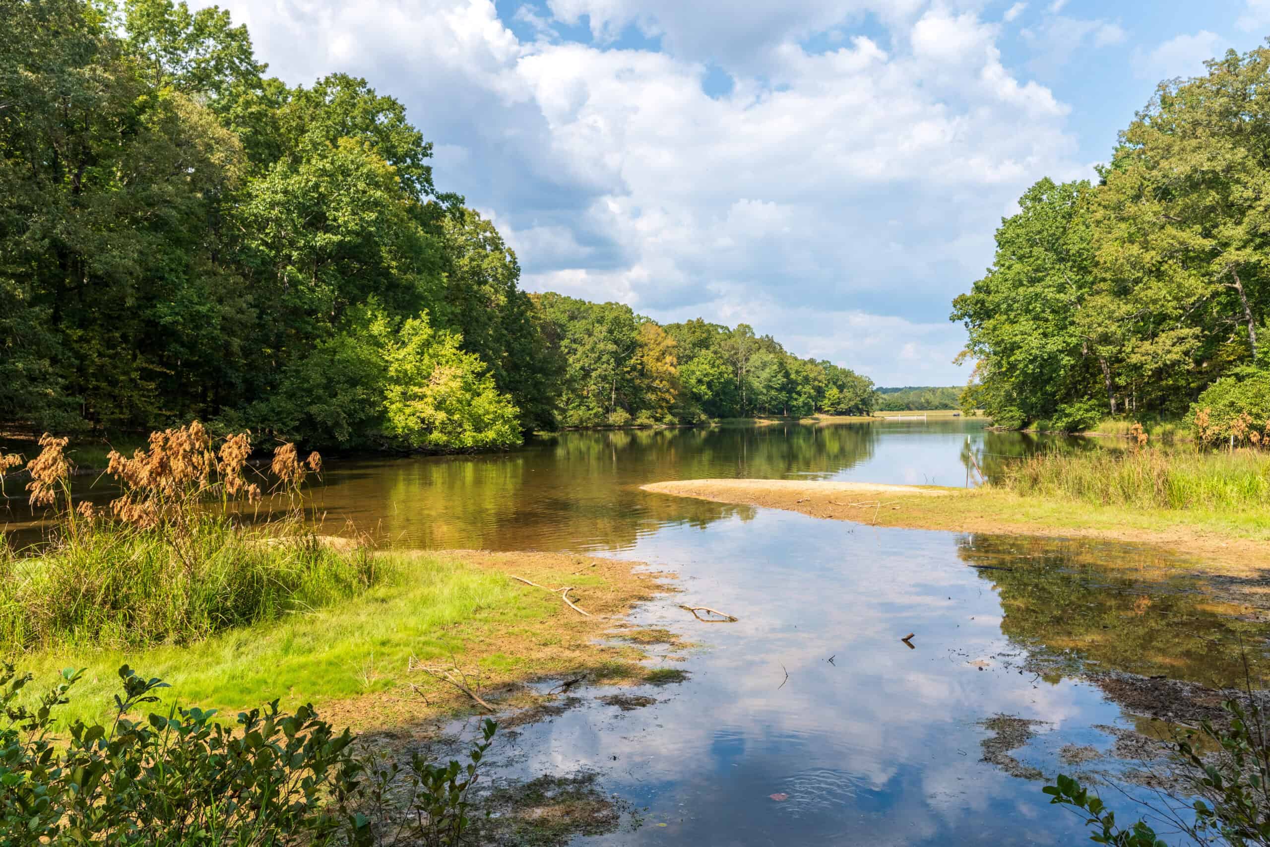 Premier Hunting & Recreation Property in Middleton, TN