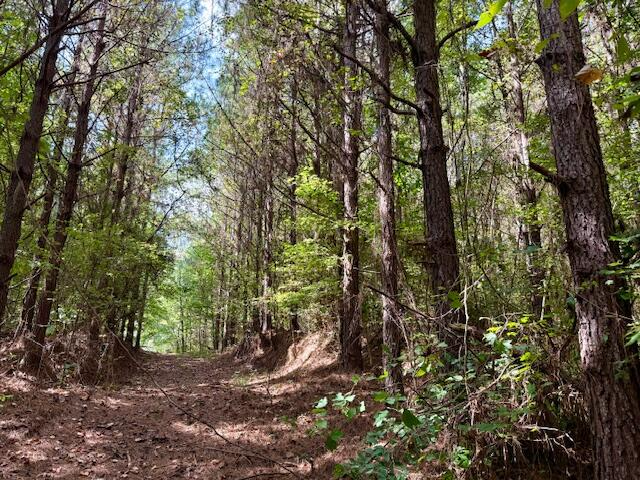 Mississippi Land For Sale With A Creek