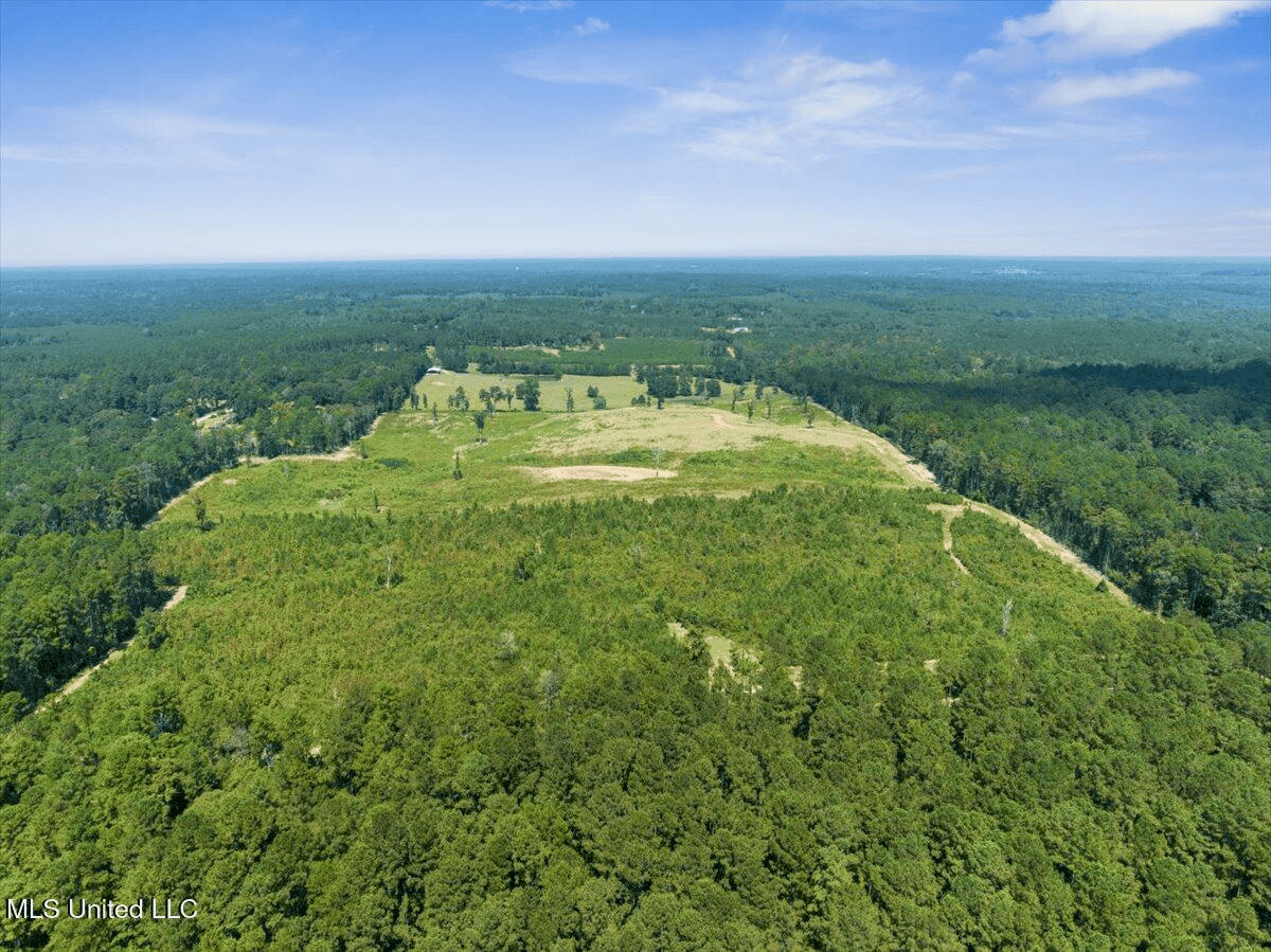 Rolling Hills Pastureland and Wooded land for sale