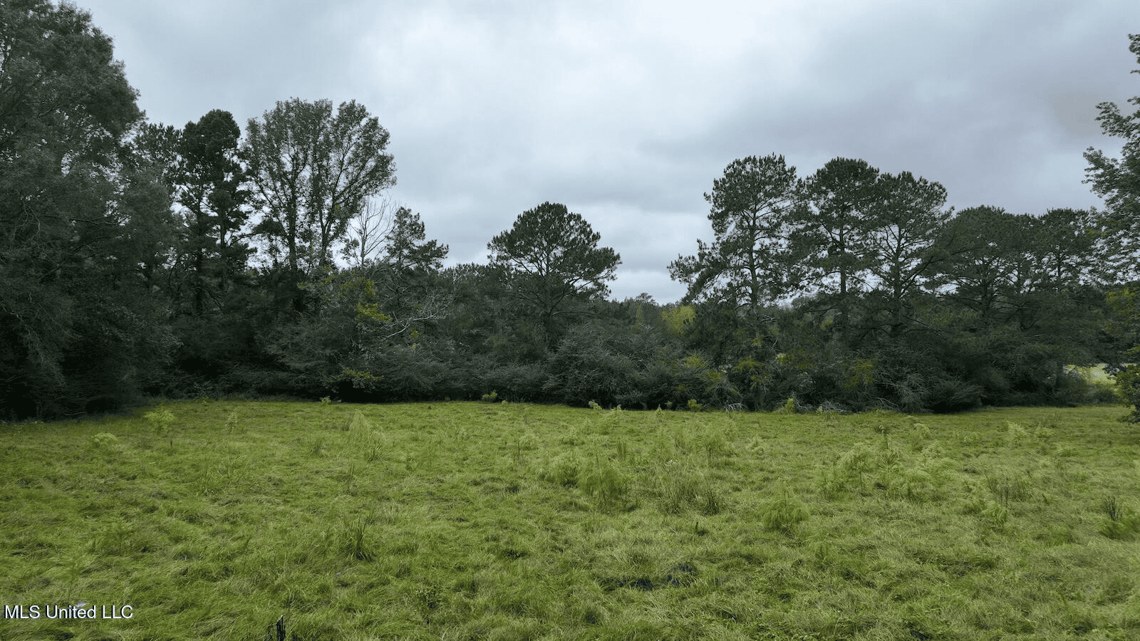 Prentiss MS Pasture Land for sale