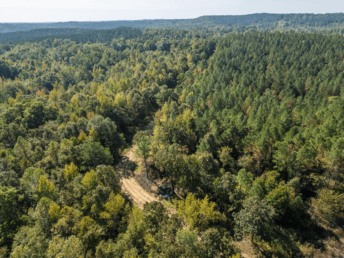650 Acres Timberland and Lake Site Calhoun County MS