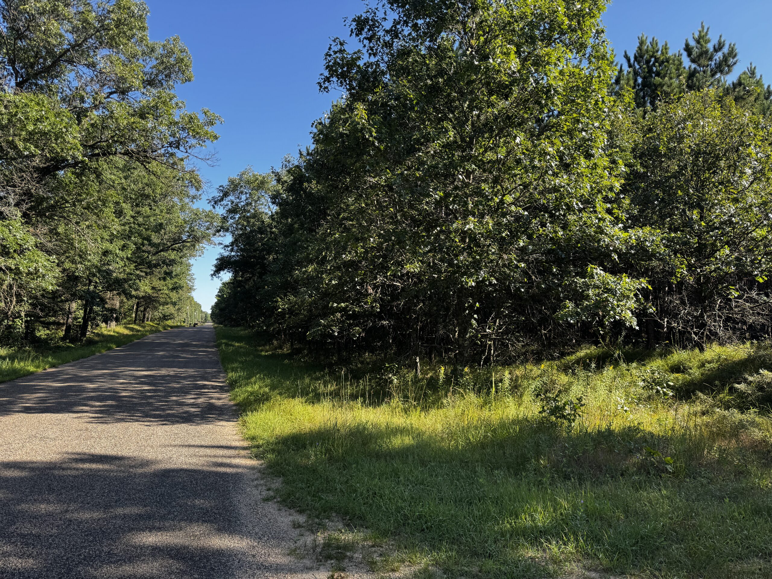 80-acre timber tract in Adams County