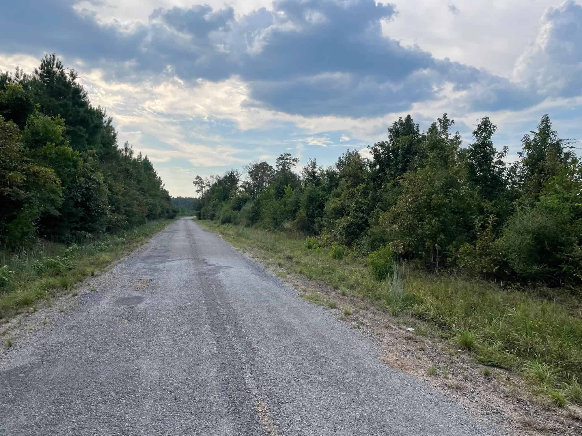 40 Acres Beauregaurd Parish LA
