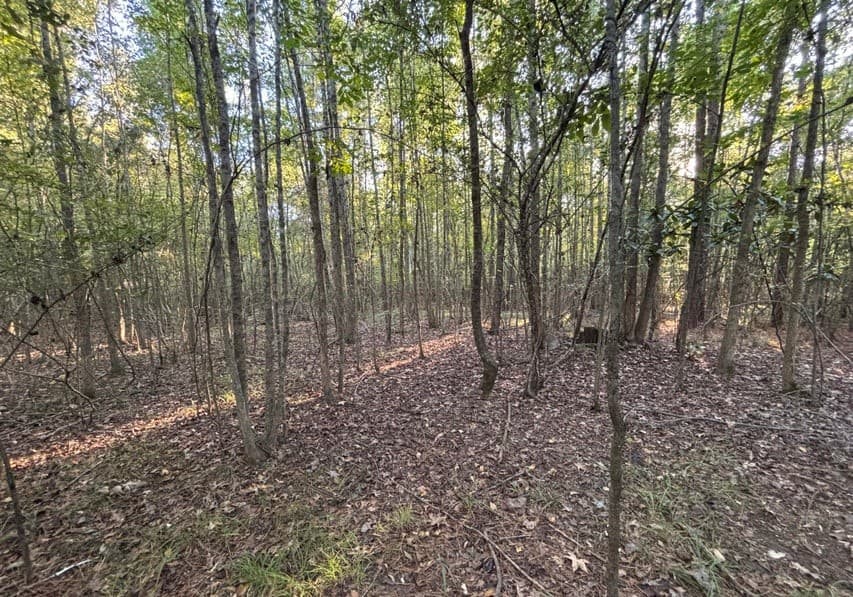 28 Acres for Sale South Jackson, Hinds County, MS