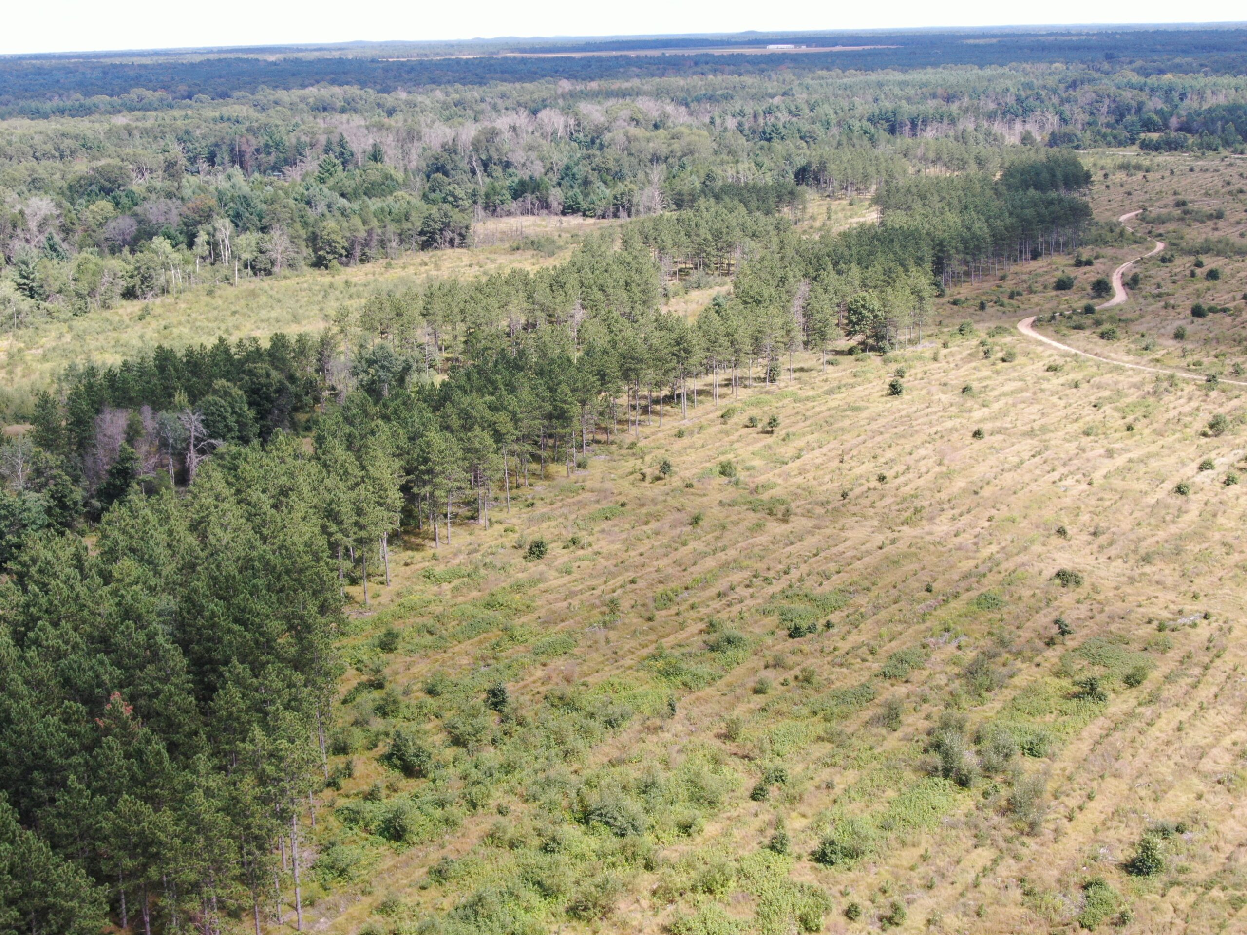 80-acre parcel in the Town of Big Flats