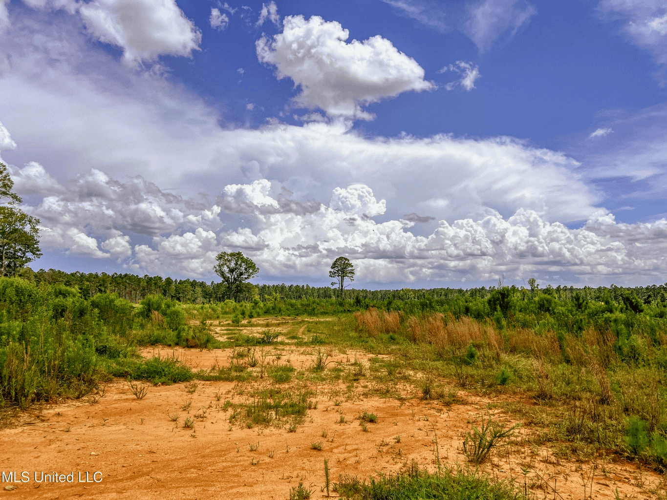 Land for Sale in Amite County, MS