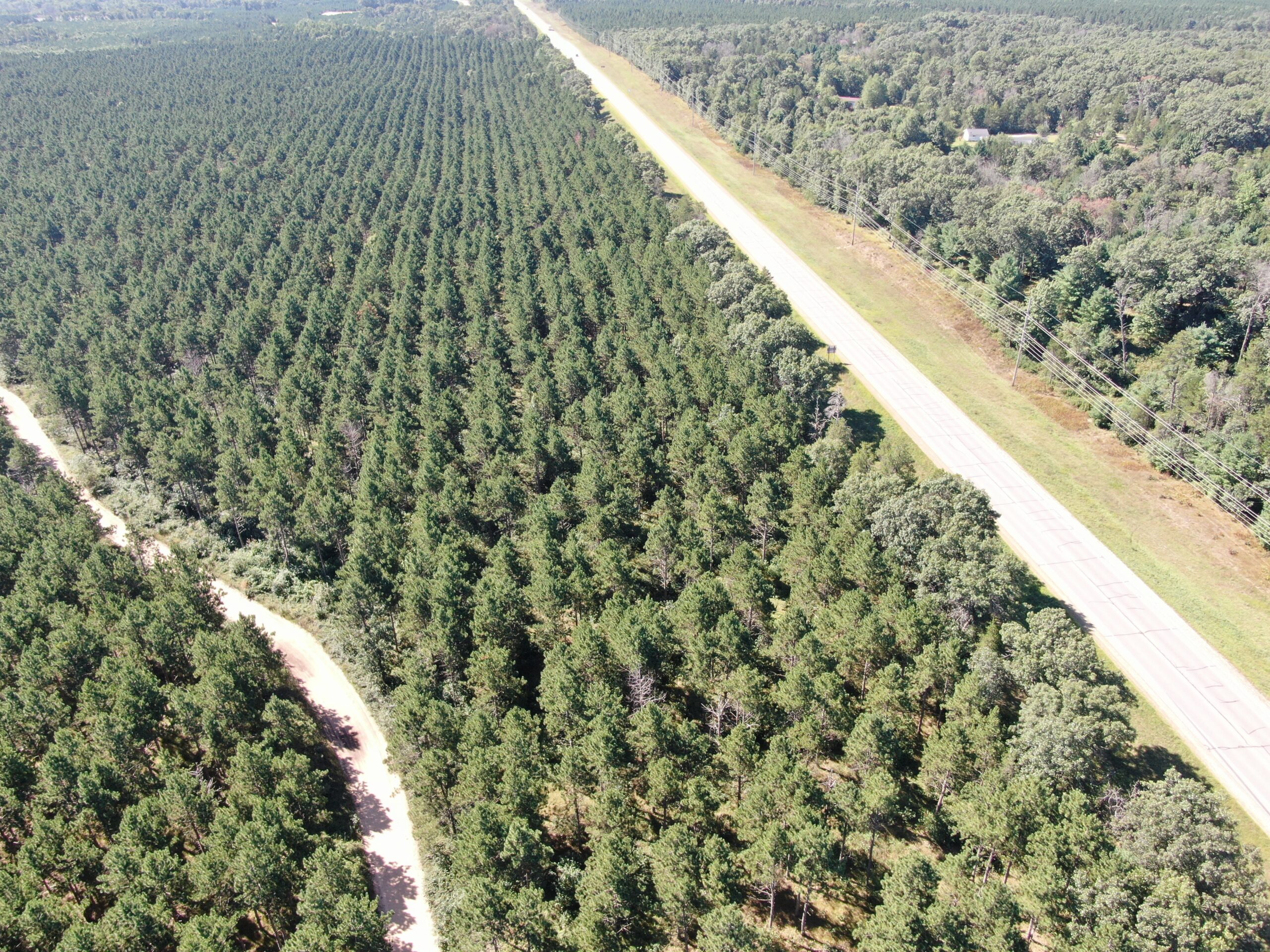 77-acre timber tract in the Town of Rome