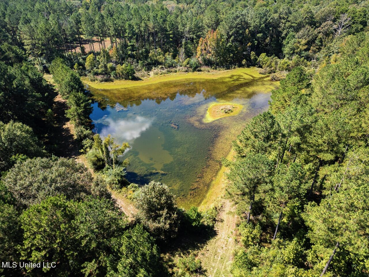 203 Acres in Smithdale MS – Turnkey Hunting Retreat