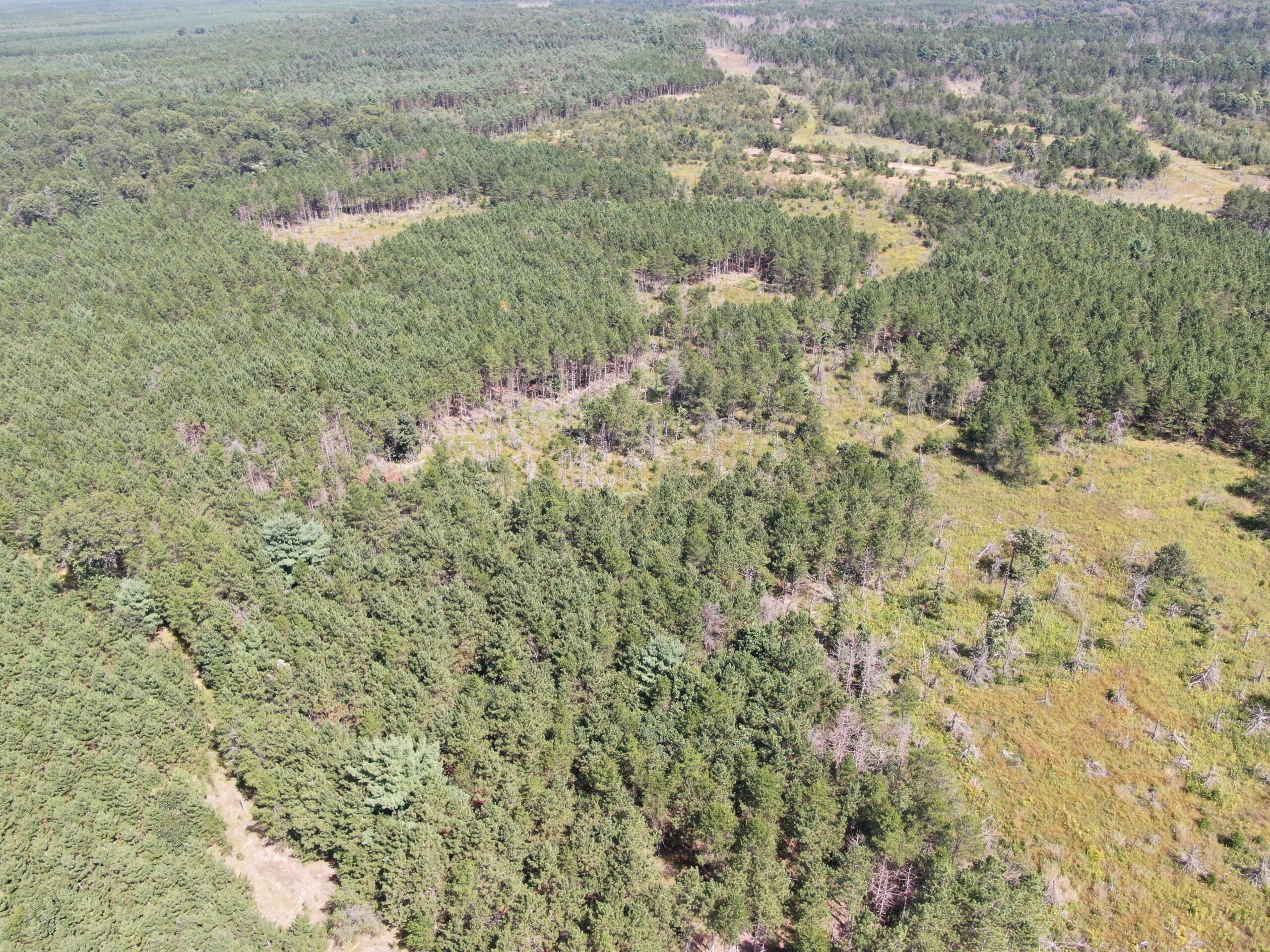 40 acres of recreational land in the Town of Monroe, Adams County
