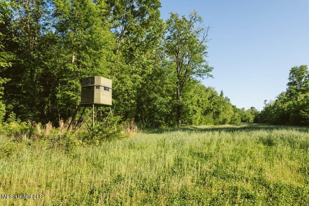 Southside Land Share for Sale in Jefferson County, MS
