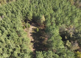 79.49 Acres Hunting and Timberland For Sale in Linden, TN