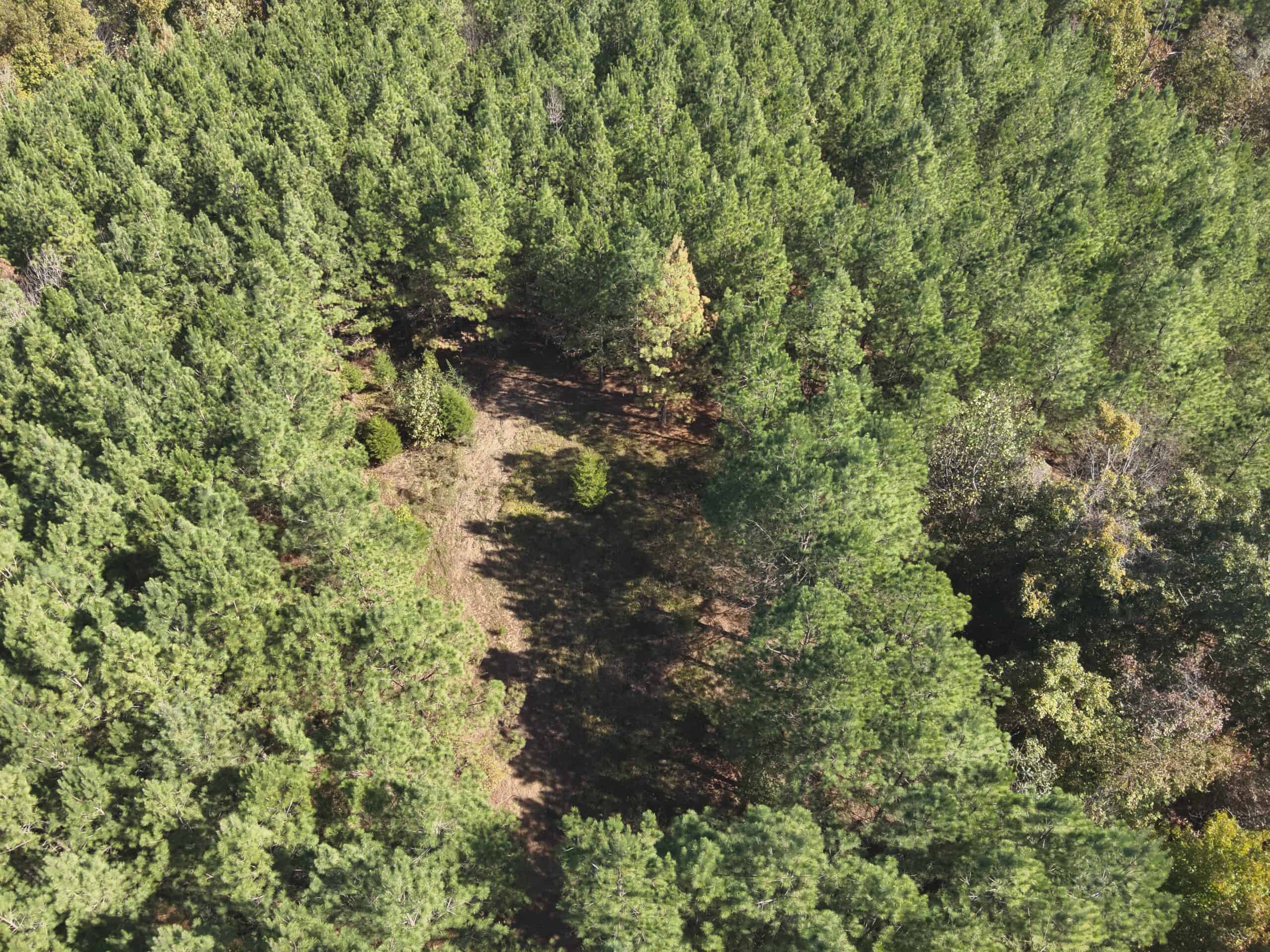 79.49 Acres Hunting and Timberland For Sale in Linden, TN