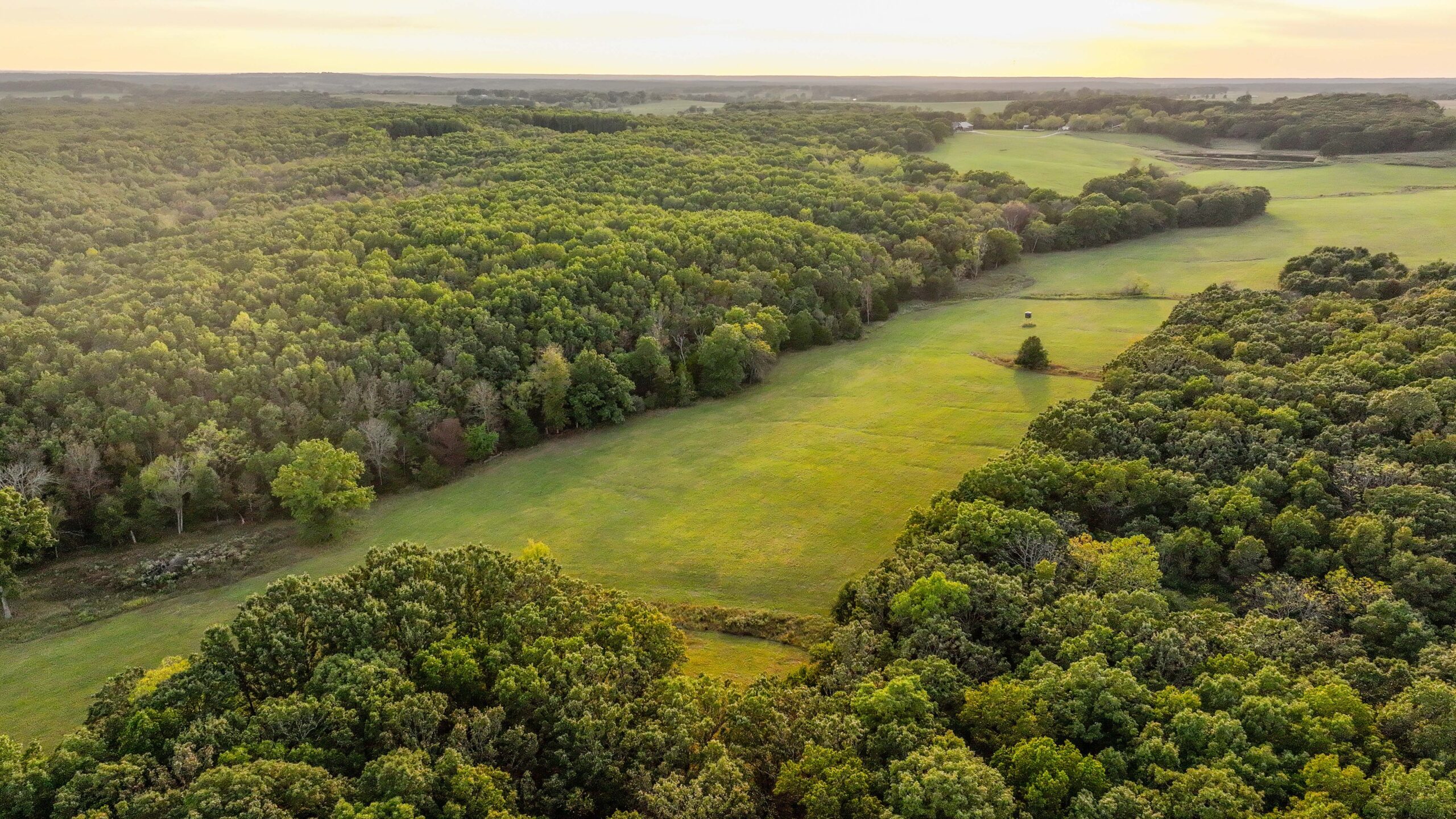 245.4 +\- acres with home in Cross Timbers MO