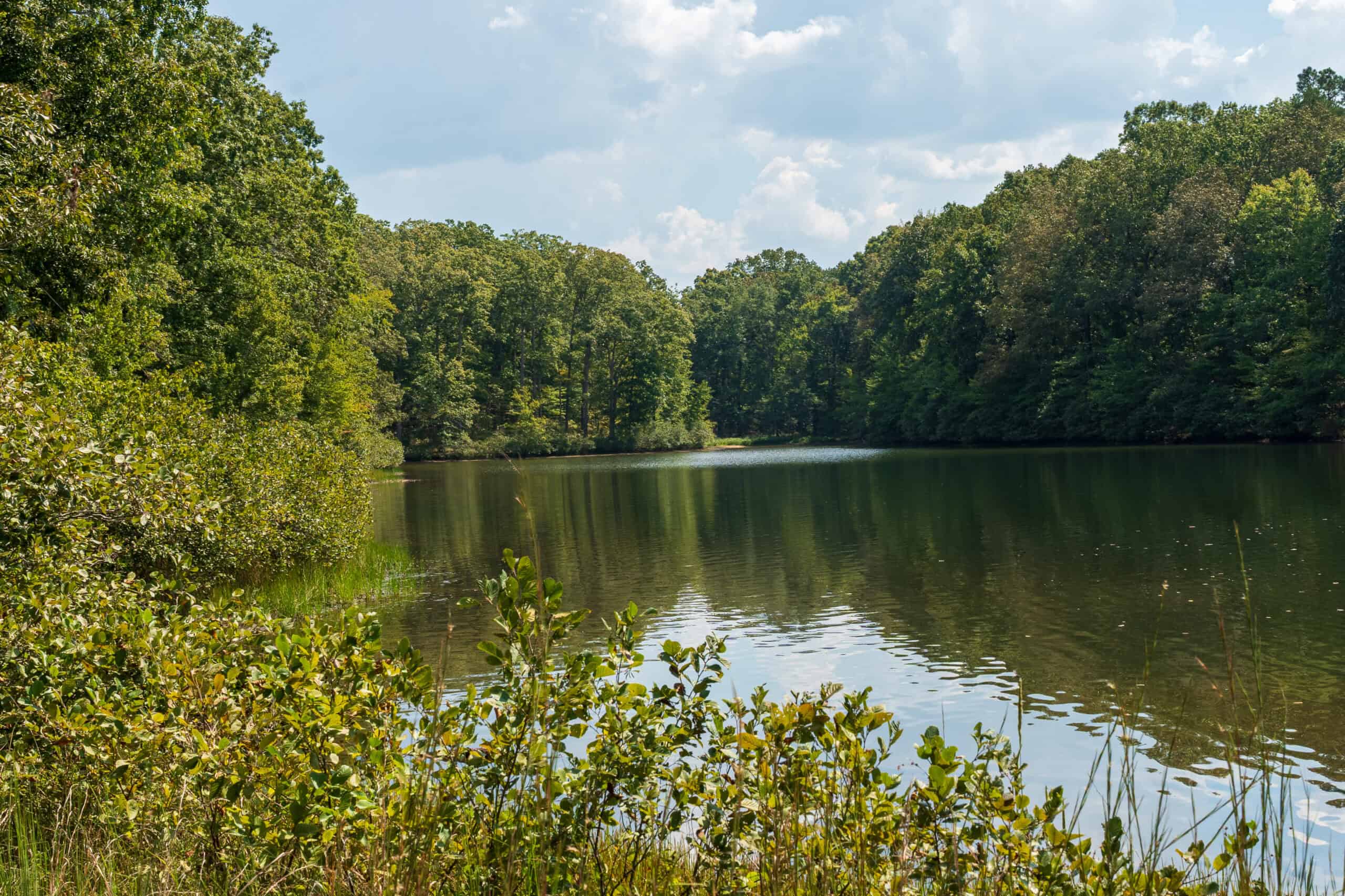 Premier Hunting & Recreation Property in Middleton, TN
