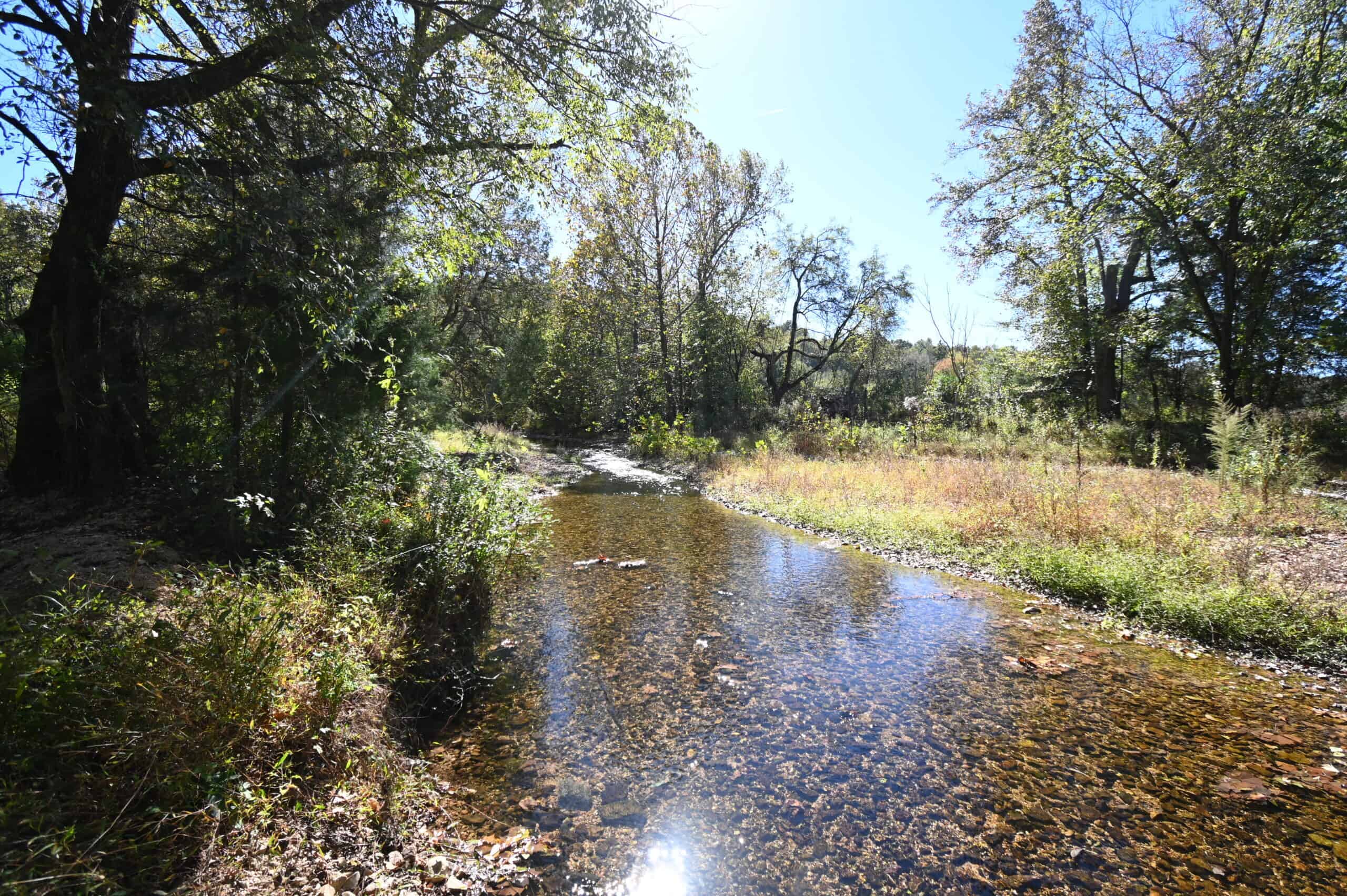 Hunting Land With Vintage Farm For Sale in Linden, Tennessee