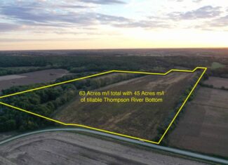 Vicki L Briggs LIVE ONLY Auction