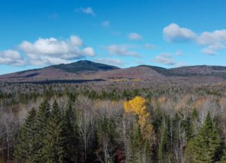 115± Acres Hunting Land with Trout Brook, Power & Paved Road Access
