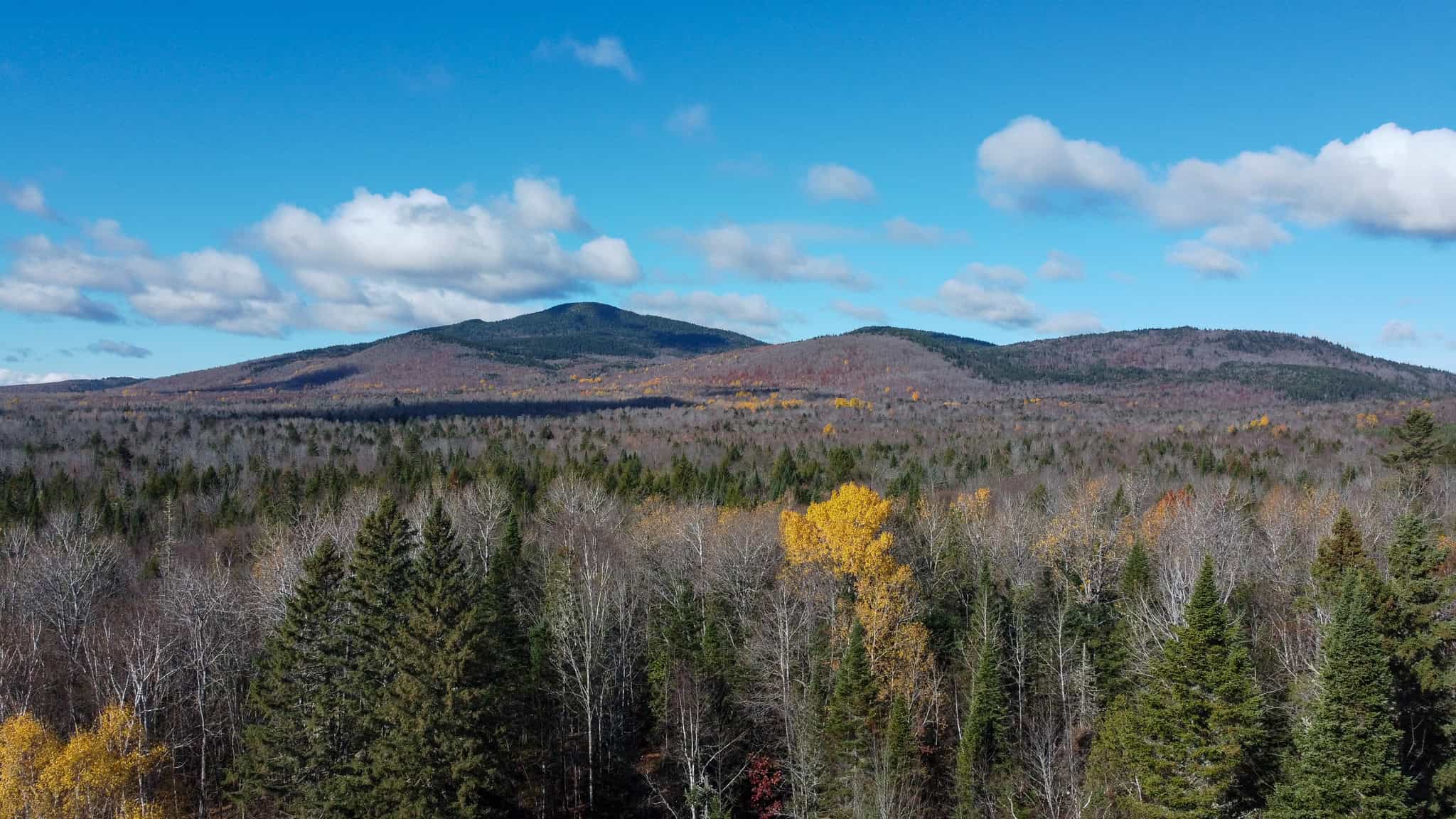 115± Acres Hunting Land with Trout Brook, Power & Paved Road Access