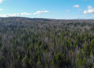 115± Acres Hunting Land with Trout Brook, Power & Paved Road Access