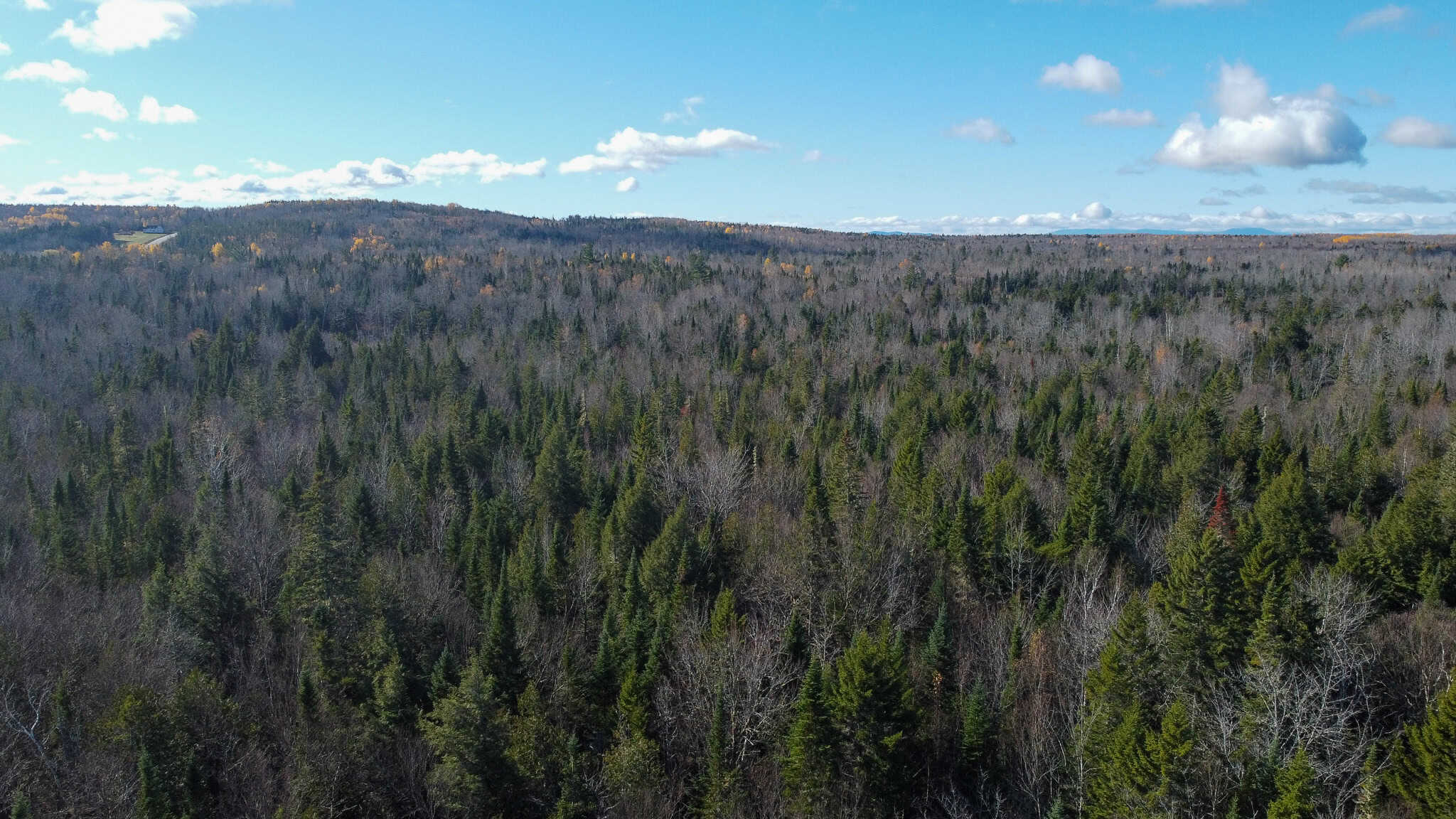 115± Acres Hunting Land with Trout Brook, Power & Paved Road Access
