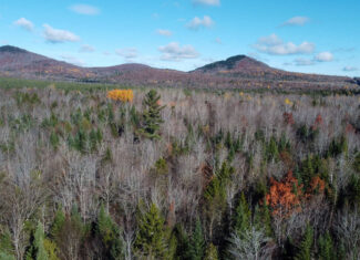115± Acres Hunting Land with Trout Brook, Power & Paved Road Access