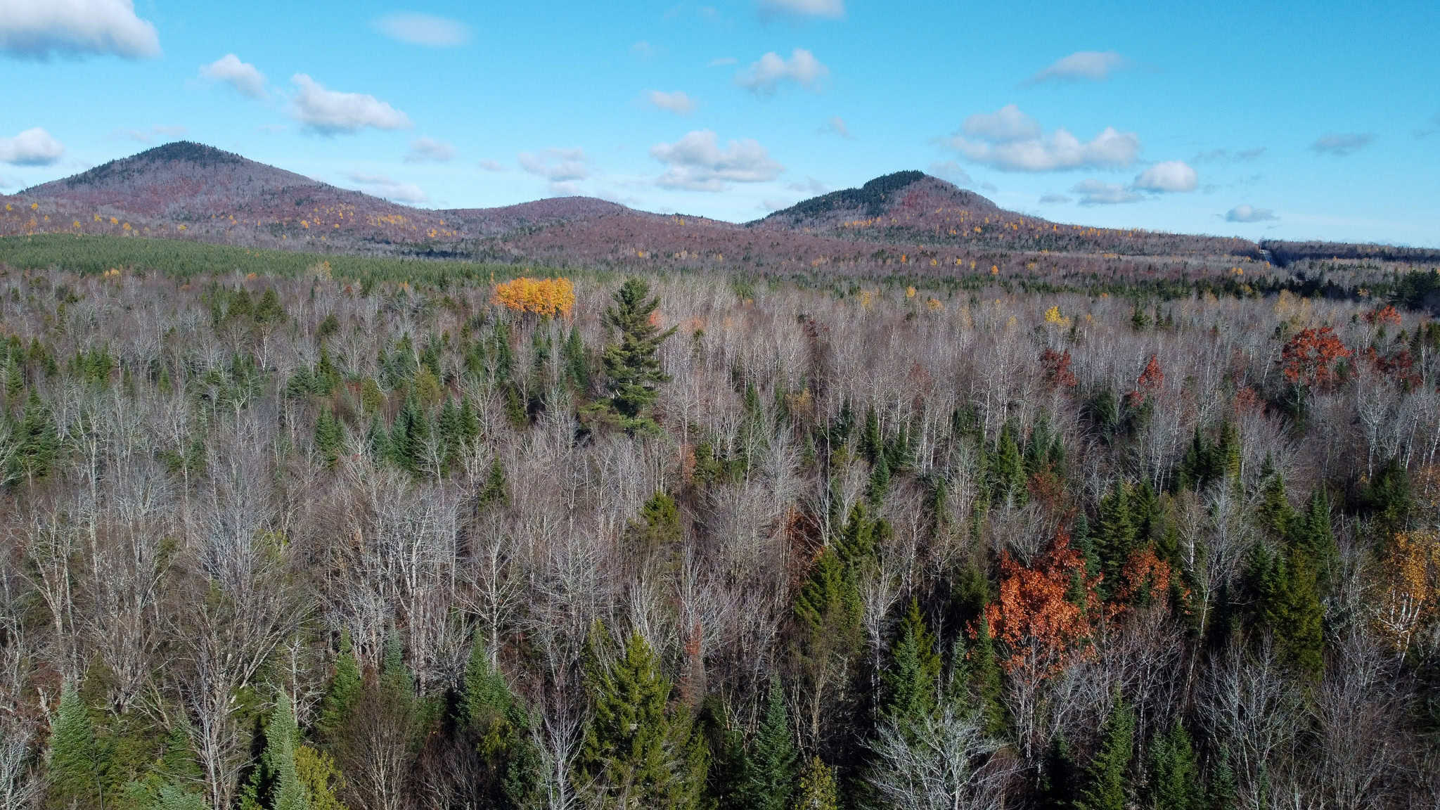 115± Acres Hunting Land with Trout Brook, Power & Paved Road Access