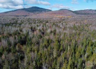 115± Acres Hunting Land with Trout Brook, Power & Paved Road Access