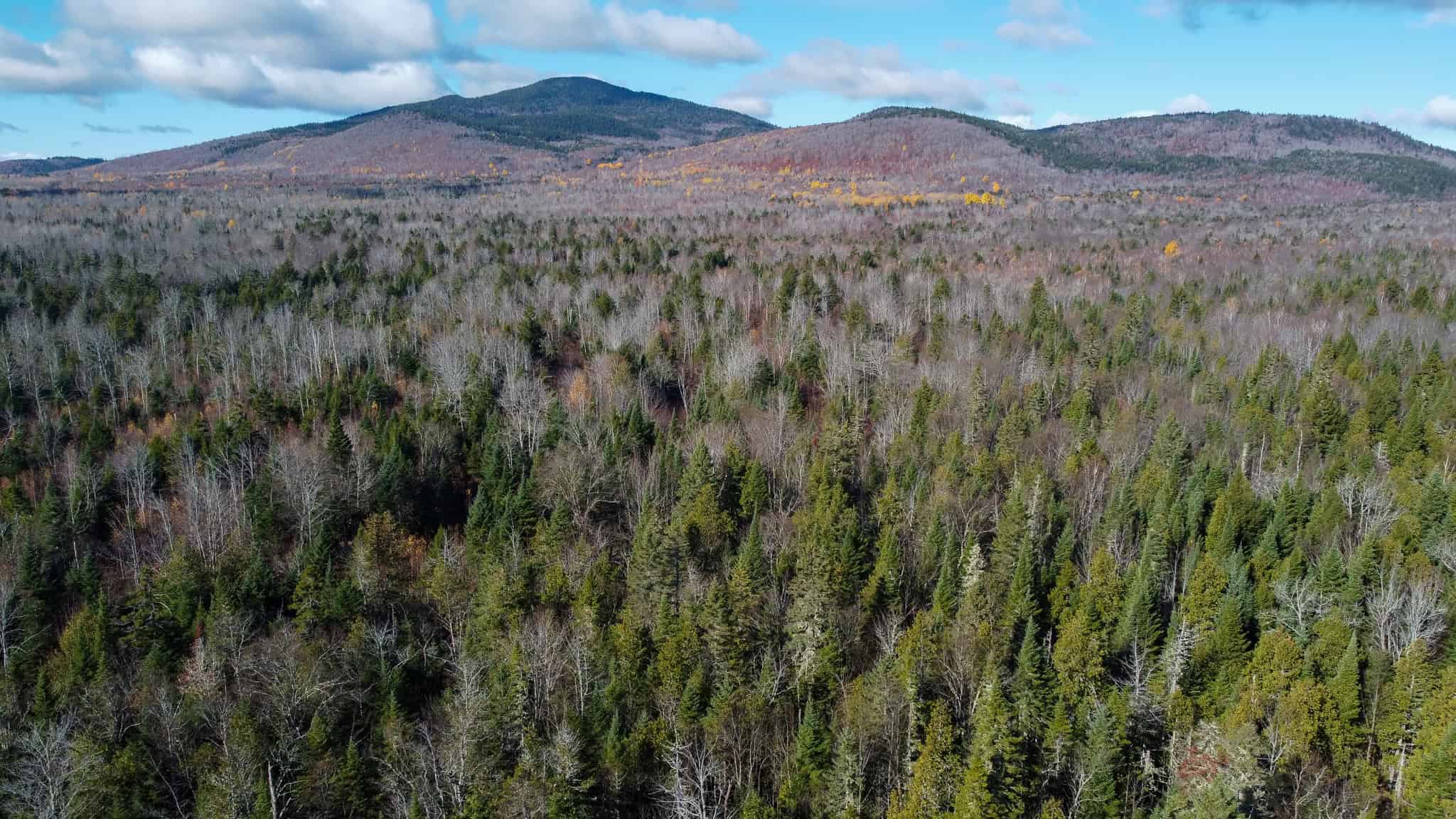 115± Acres Hunting Land with Trout Brook, Power & Paved Road Access