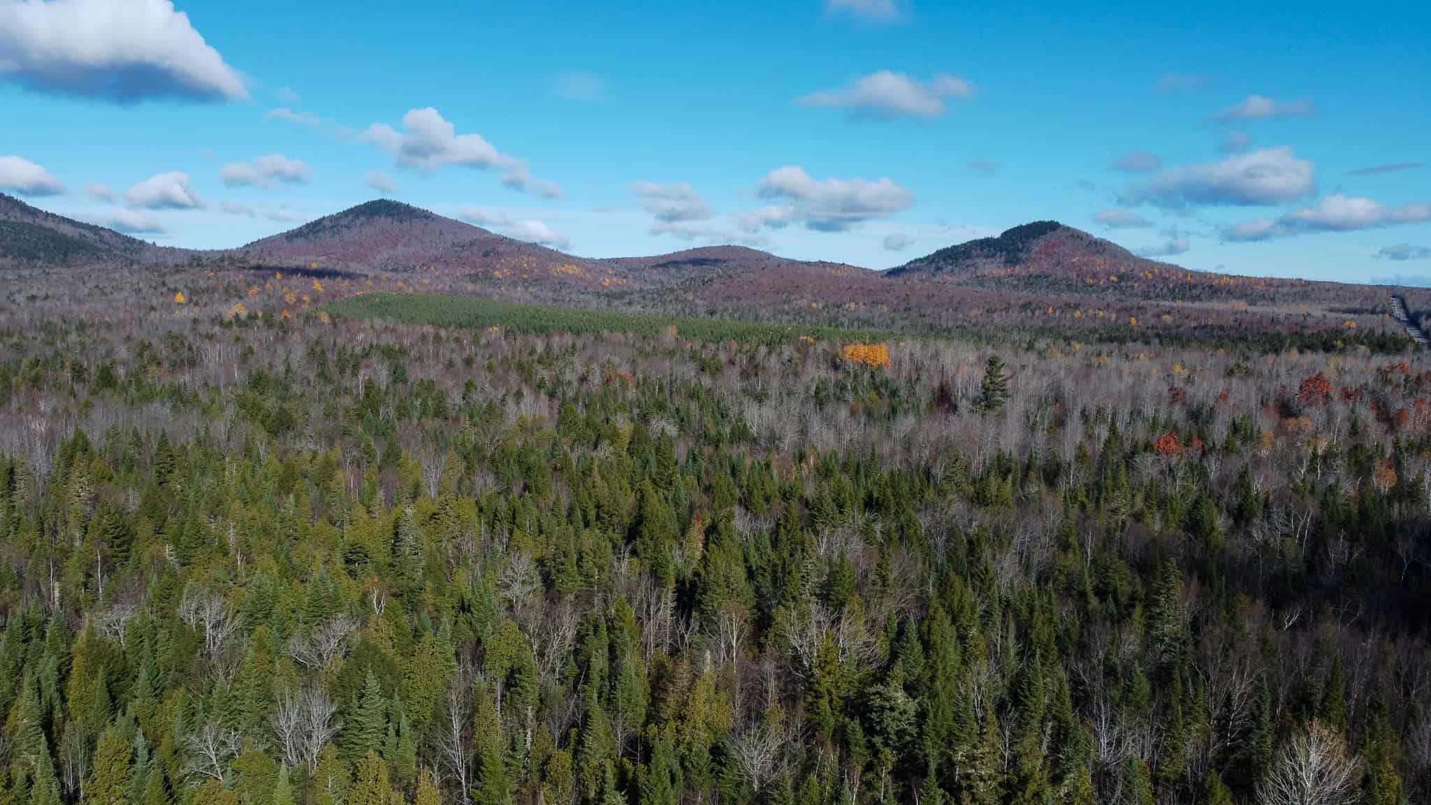 115± Acres Hunting Land with Trout Brook, Power & Paved Road Access