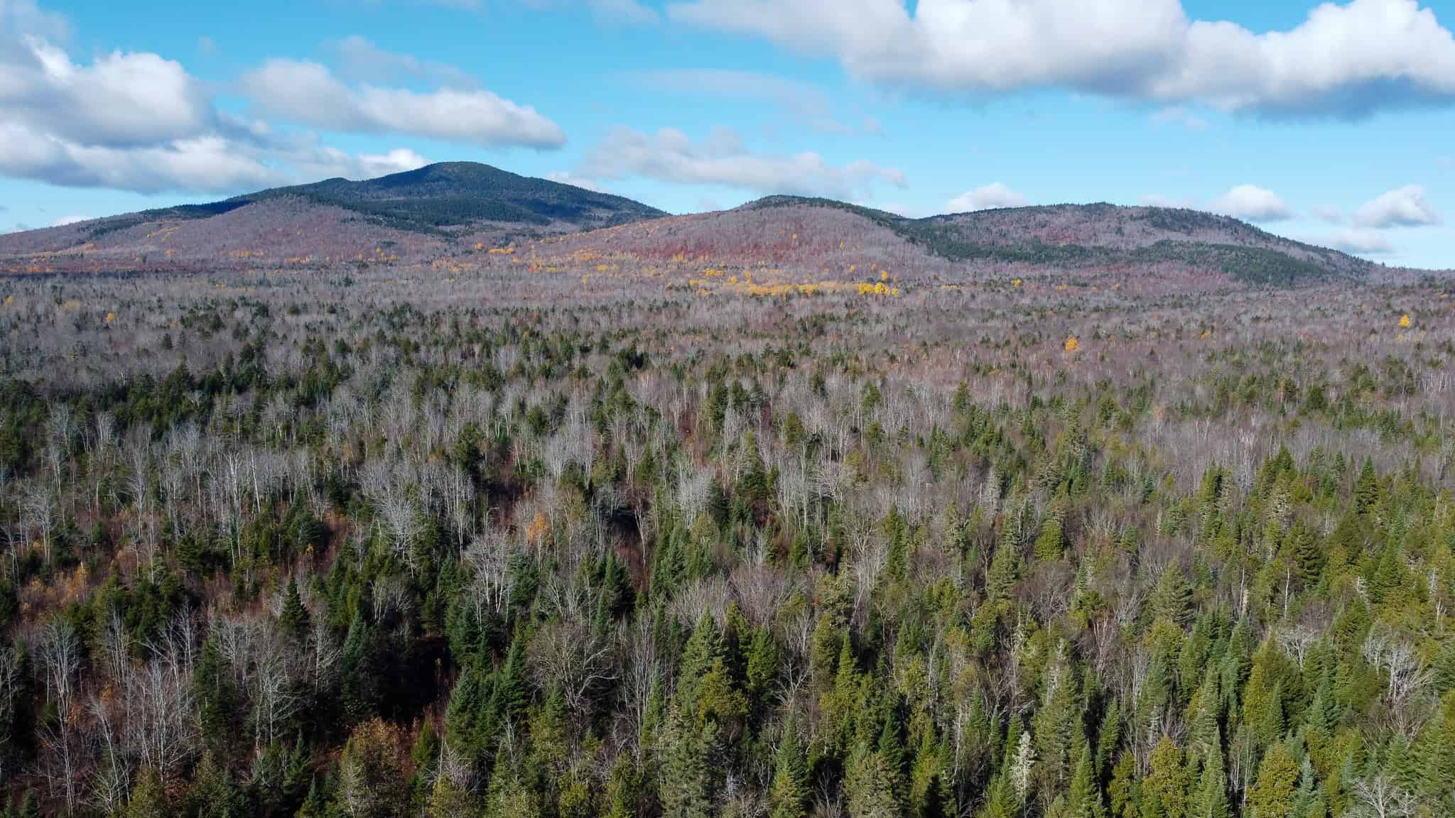115± Acres Hunting Land with Trout Brook, Power & Paved Road Access