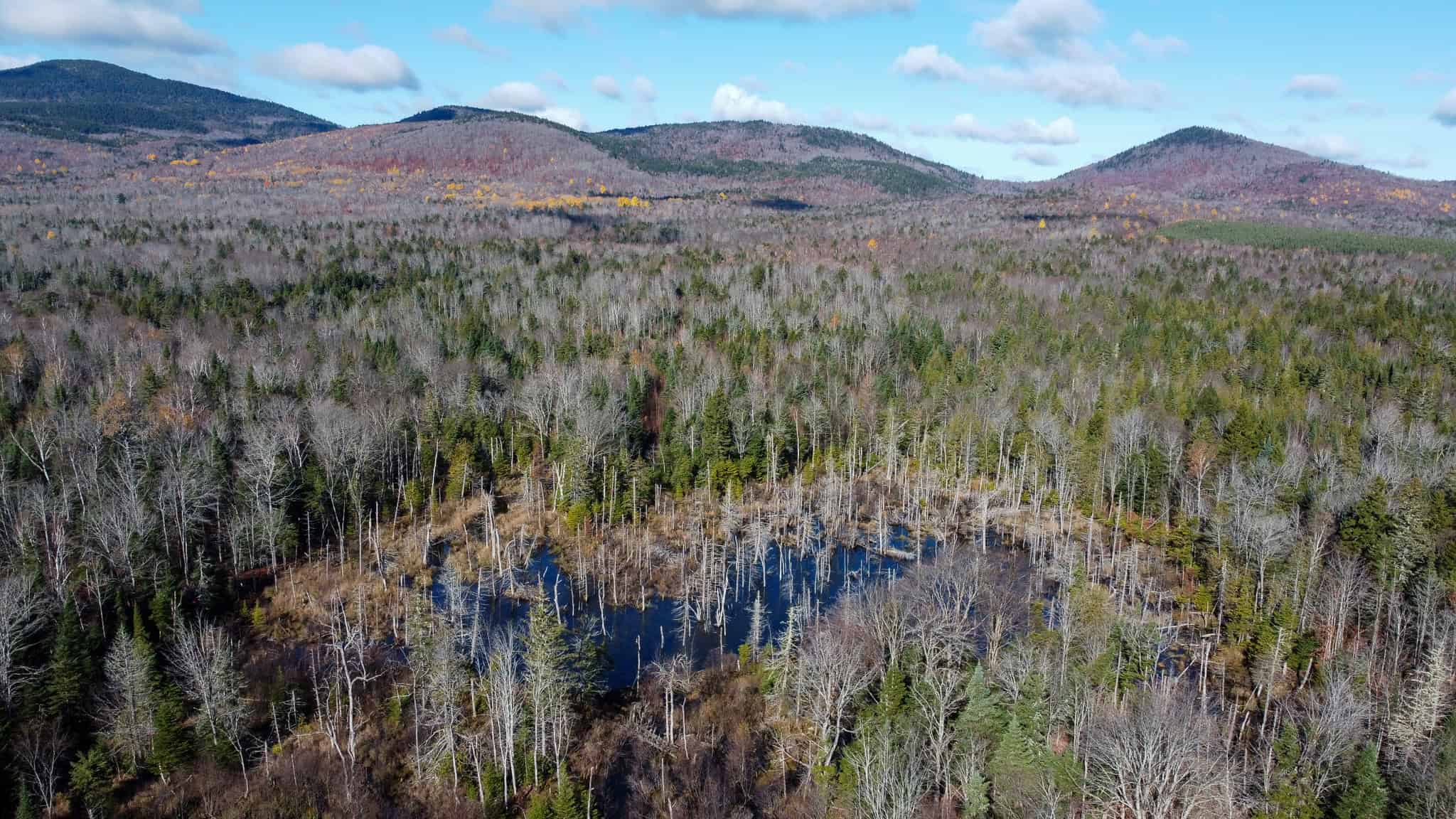 115± Acres Hunting Land with Trout Brook, Power & Paved Road Access