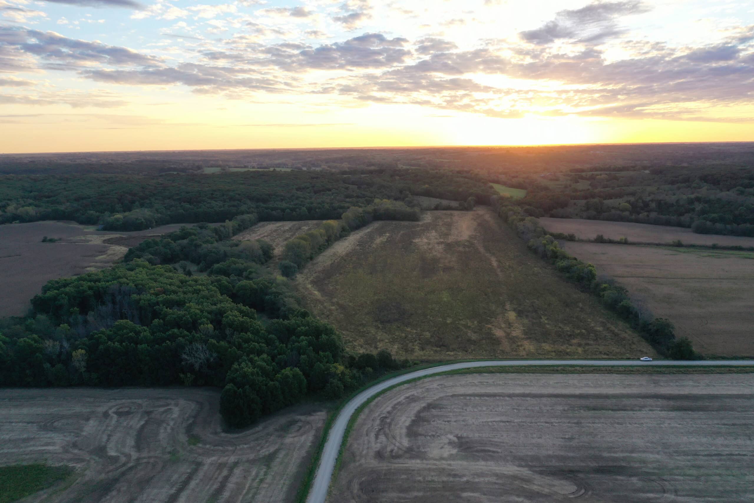 Vicki L Briggs LIVE ONLY Auction