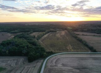 Vicki L Briggs LIVE ONLY Auction