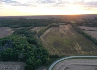 Vicki L Briggs LIVE ONLY Auction