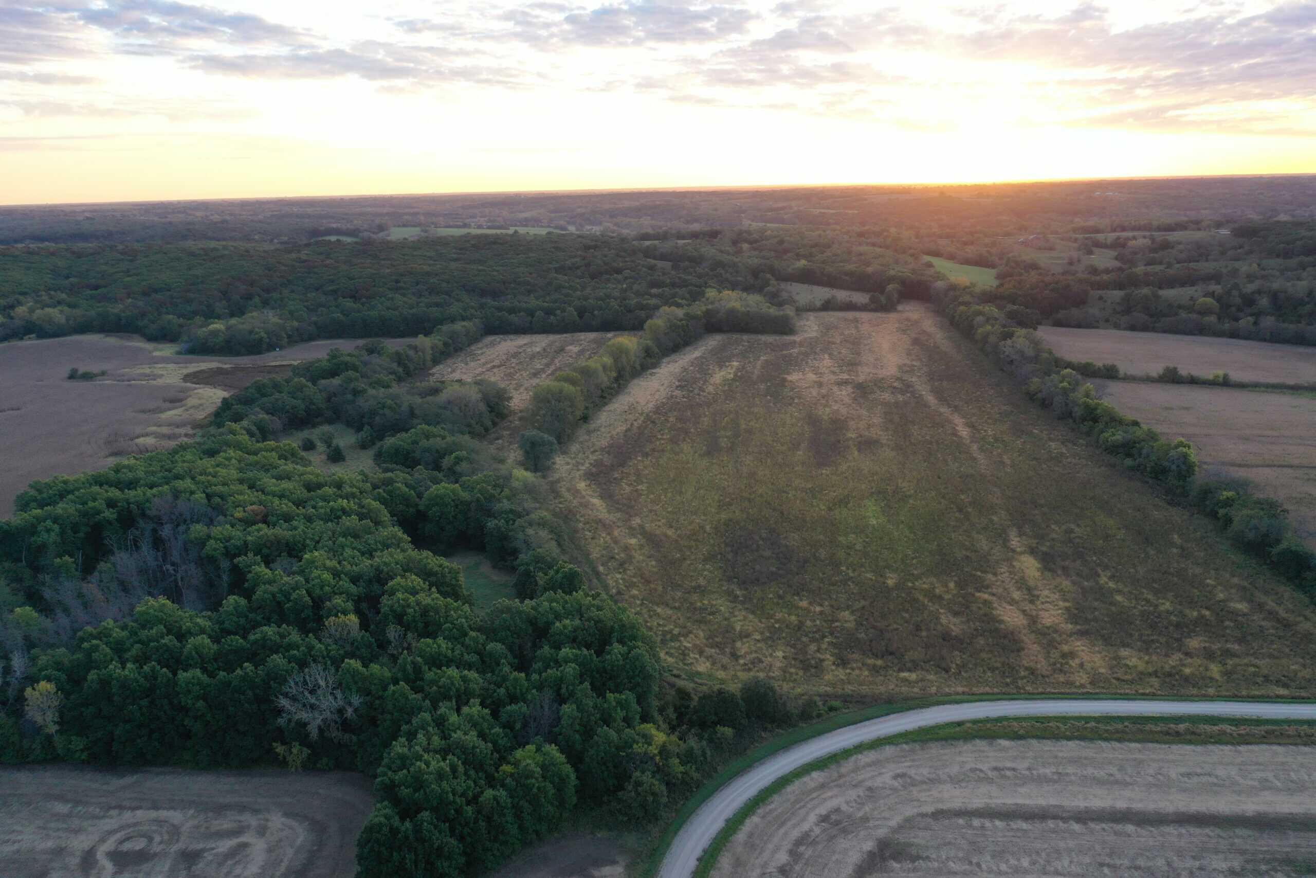 Vicki L Briggs LIVE ONLY Auction