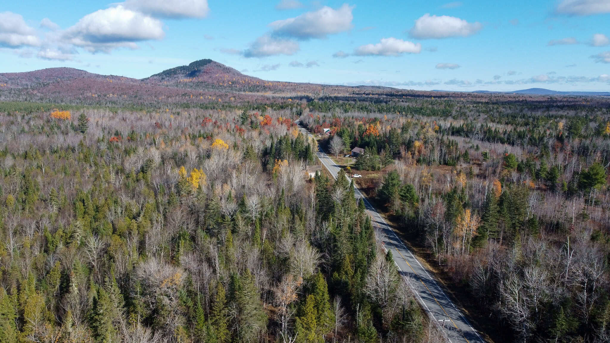 115± Acres Hunting Land with Trout Brook, Power & Paved Road Access