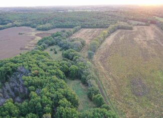 Vicki L Briggs LIVE ONLY Auction