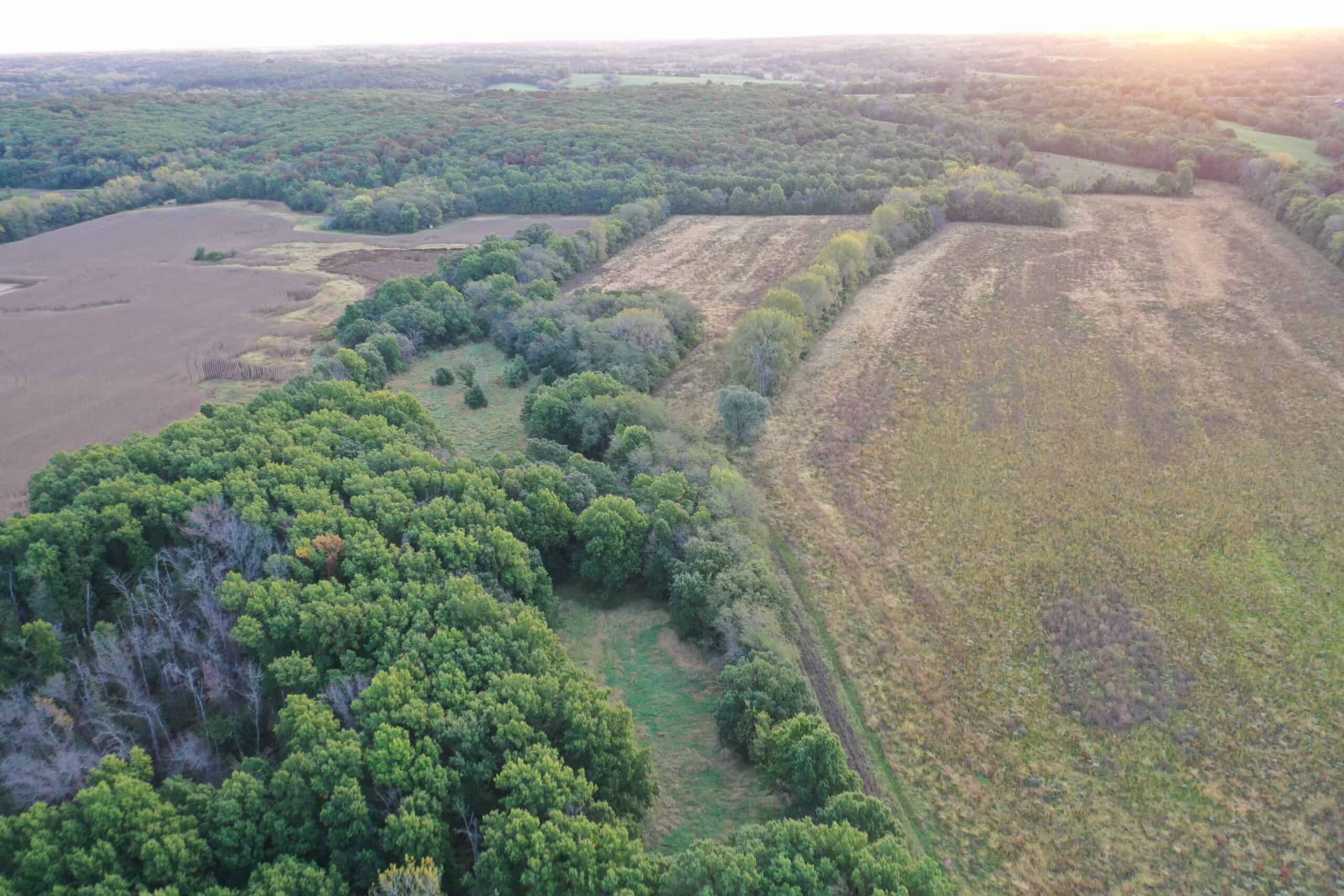 Vicki L Briggs LIVE ONLY Auction