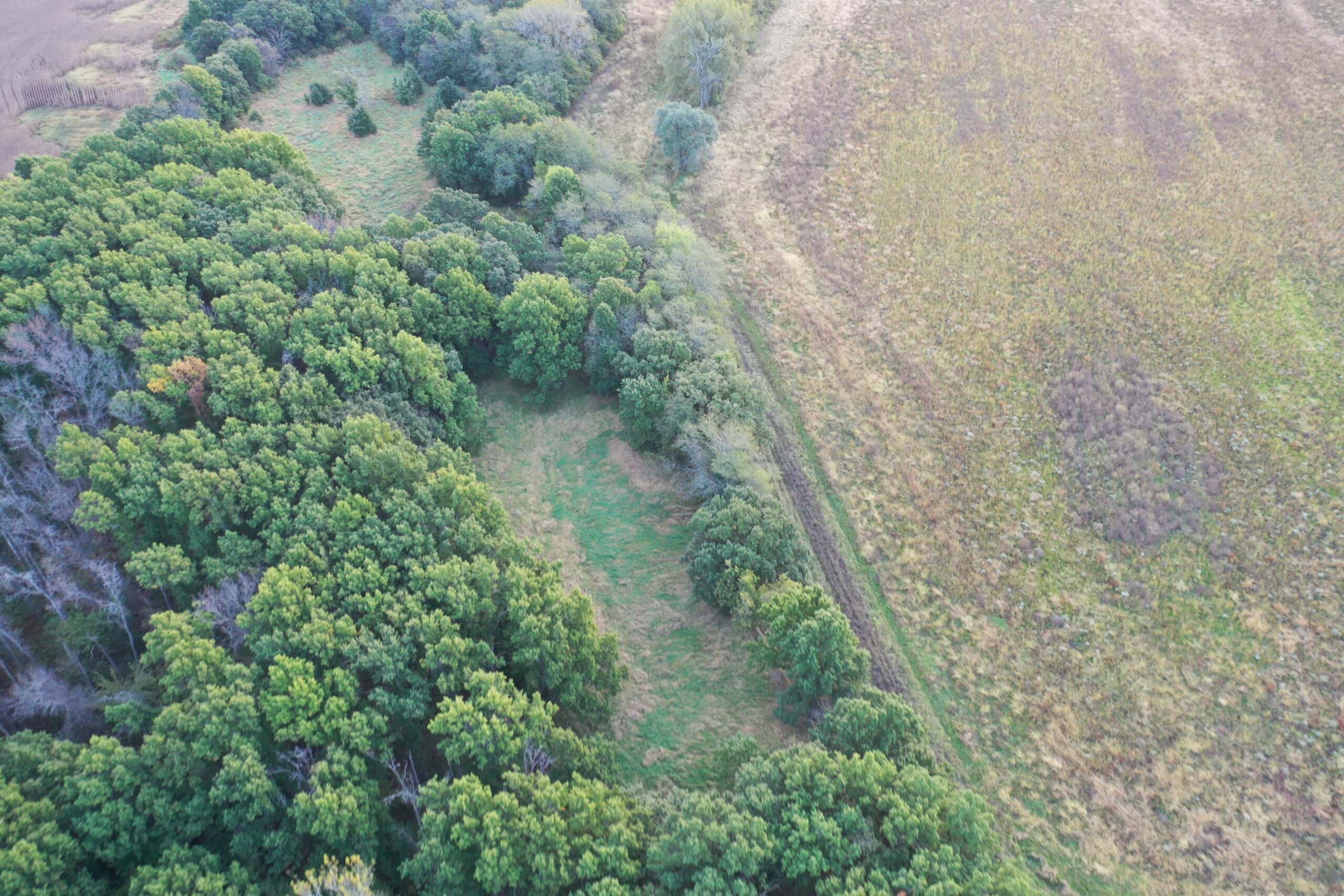 Vicki L Briggs LIVE ONLY Auction