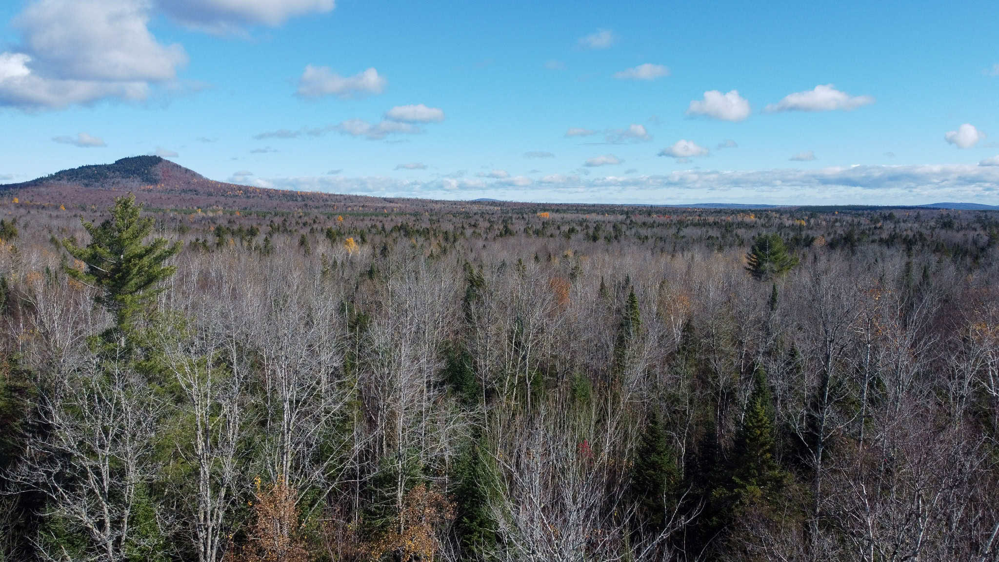 115± Acres Hunting Land with Trout Brook, Power & Paved Road Access