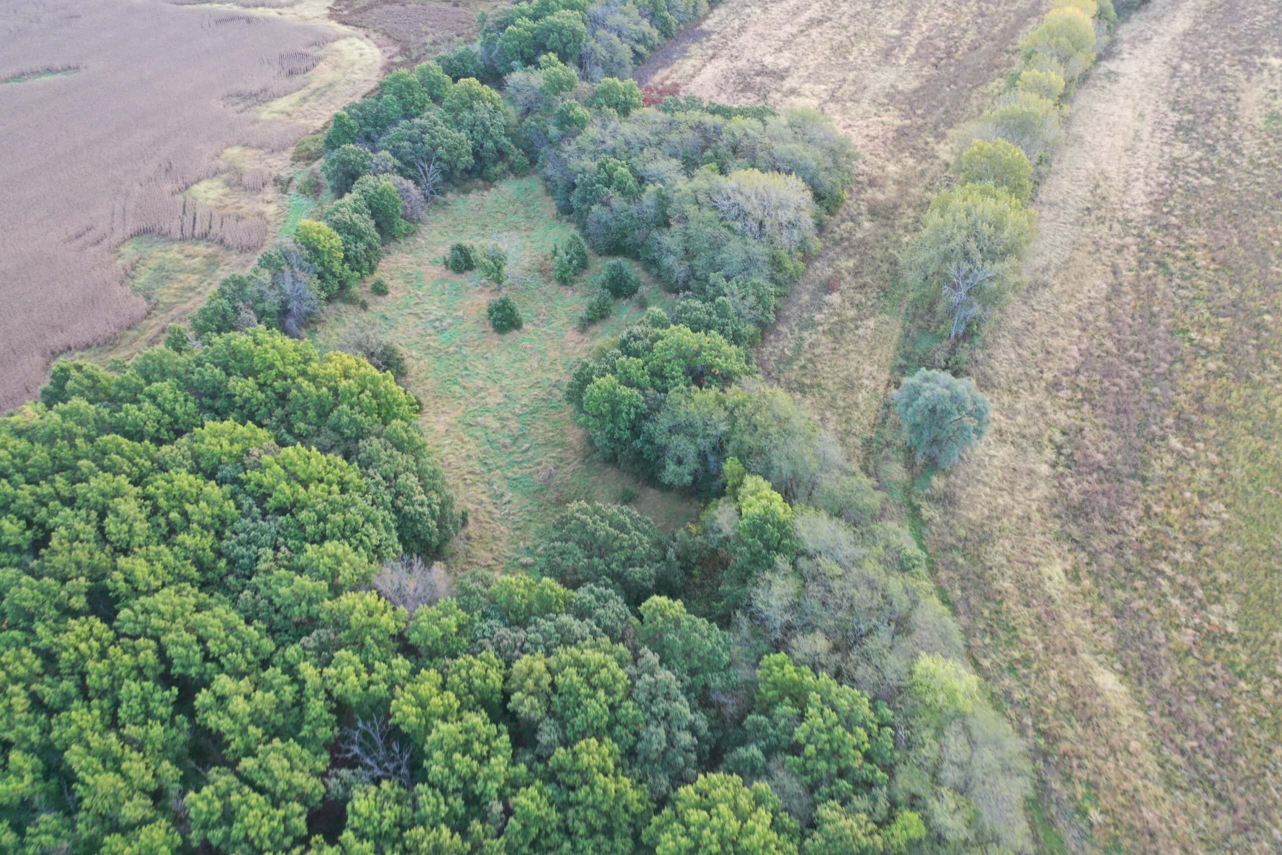 Vicki L Briggs LIVE ONLY Auction