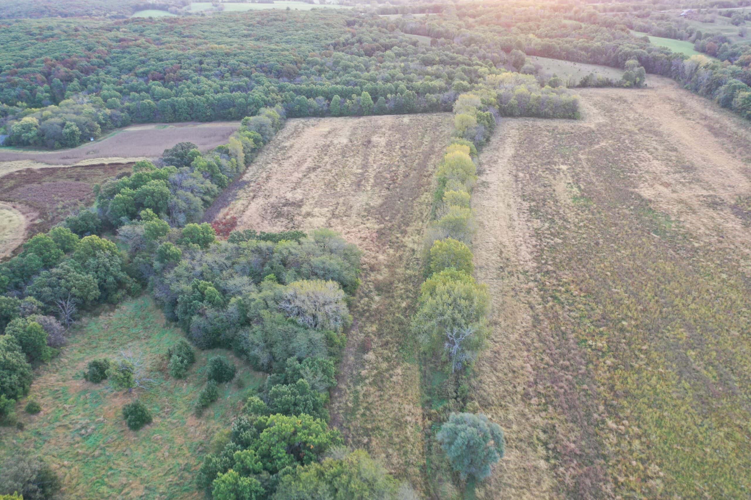 Vicki L Briggs LIVE ONLY Auction