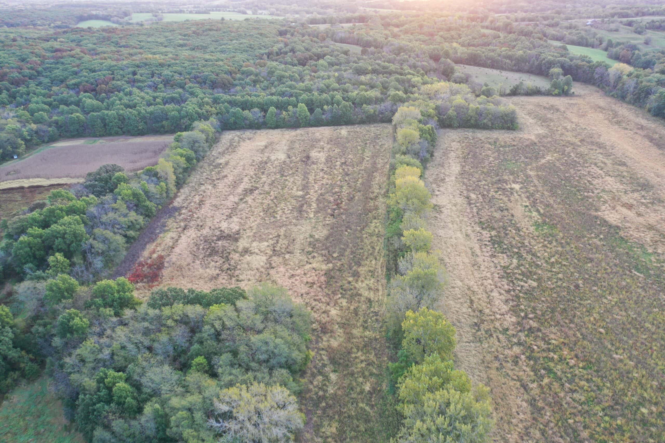 Vicki L Briggs LIVE ONLY Auction