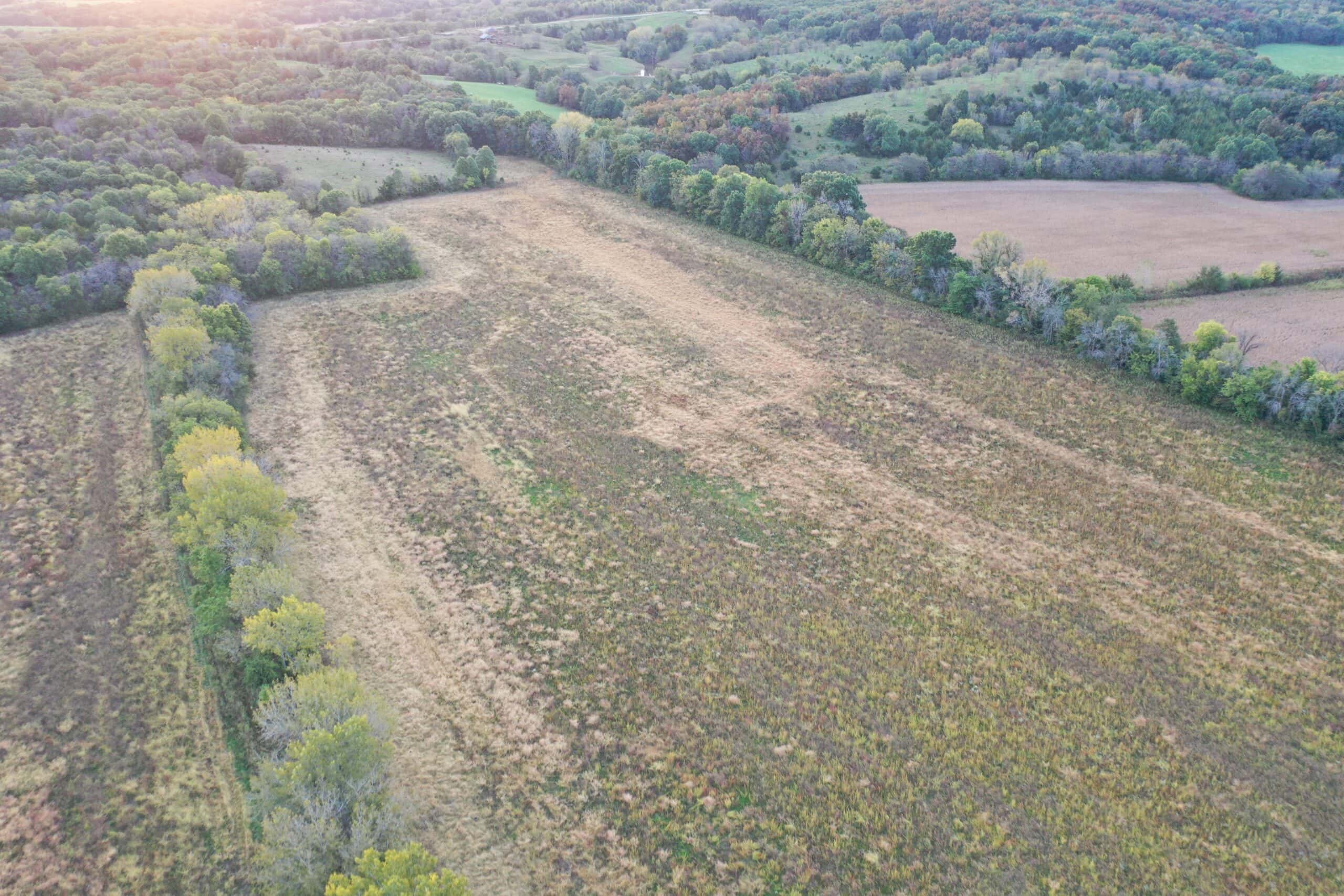 Vicki L Briggs LIVE ONLY Auction