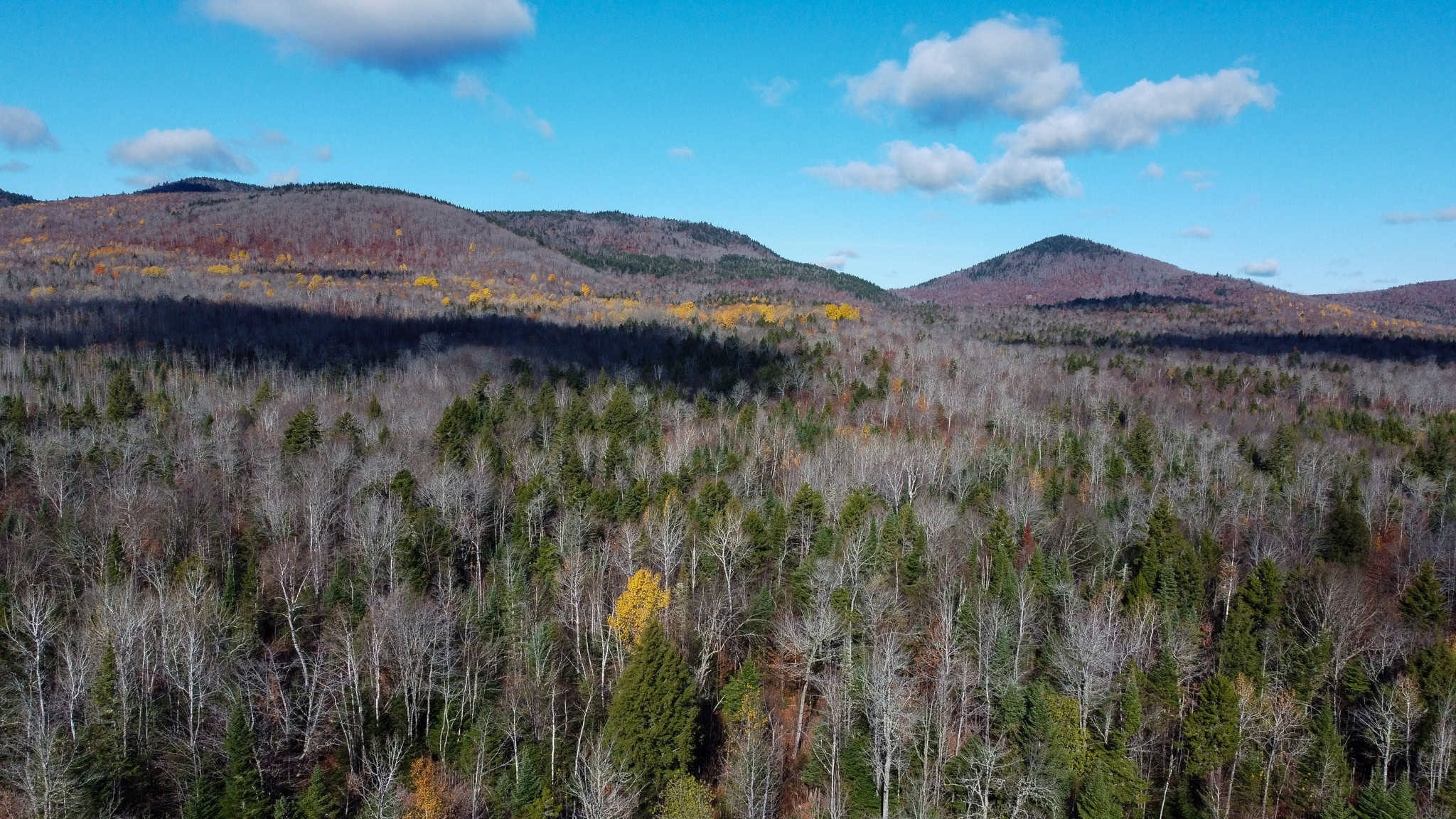 115± Acres Hunting Land with Trout Brook, Power & Paved Road Access