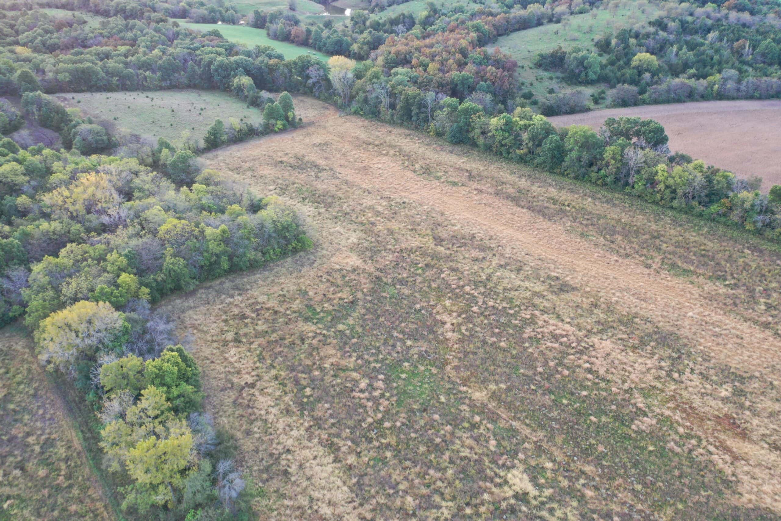 Vicki L Briggs LIVE ONLY Auction